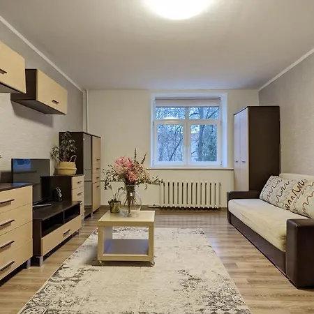 Apartment German Street Vilnius